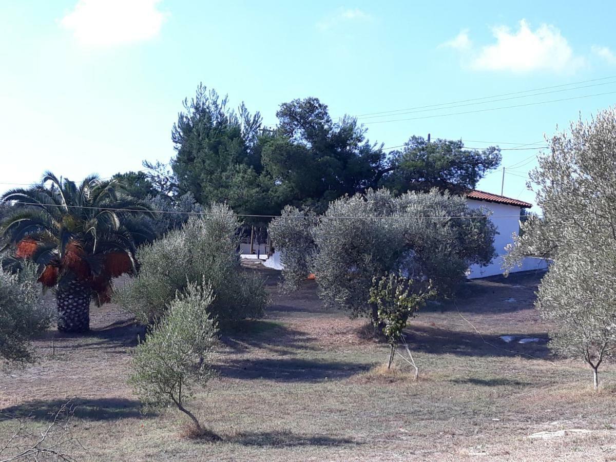 House Lagonisi Ormos Panagias Bagian luar foto